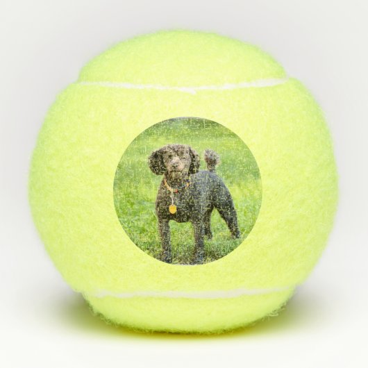 Bonjour Tennisballen (Voorkant)