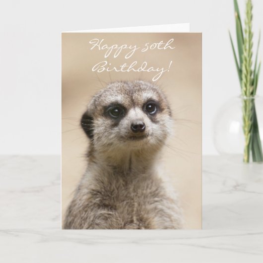 Bonne 50e anniversaire Meerkat carte de voeux (Devant)