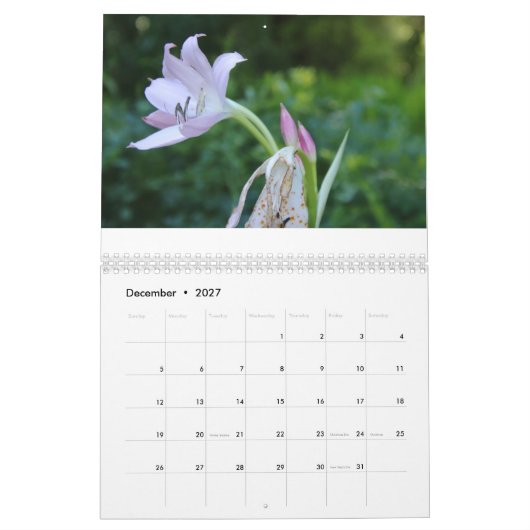 Bonne année Calendrier Année 2025 (Dec 2027)