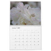 Bonne année Calendrier Année 2025 (Jan 2027)