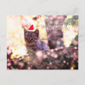 Bonne année Carte postale Kitten (Devant)