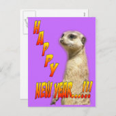 Bonne année Meerkat carte postale (Devant / Derrière)