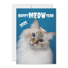 Bonne année MIAOU Carte de vœux de vacances avec