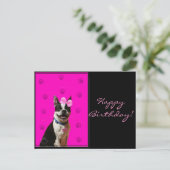 Bonne Anniversaire Boston Terrier carte postale (Debout devant)