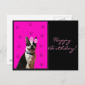 Bonne Anniversaire Boston Terrier carte postale (Devant / Derrière)