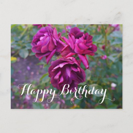 Bonne Anniversaire Bourgogne Rose Iceberg #3 Carte (Devant)