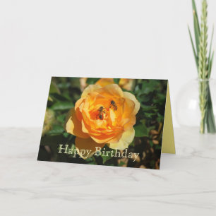 Bonne Anniversaire Rose Jaune avec carte d'abeille
