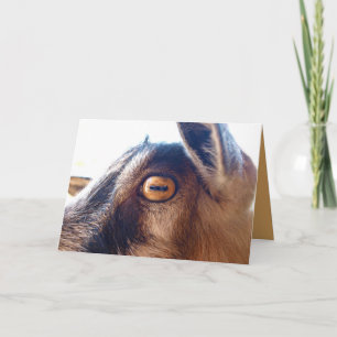 Bonne Anniversaire Vous Vieux Carte De Voix De Chè