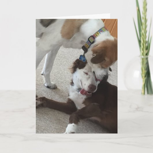 Bonne carte anniversaire, chiens affectueux. (Devant)