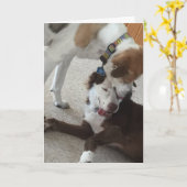 Bonne carte anniversaire, chiens affectueux. (Fleur jaune)