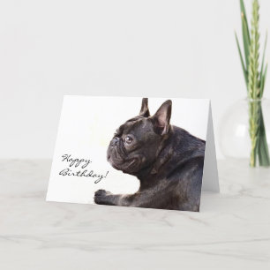 Bonne carte Bulldog Française pour anniversaire