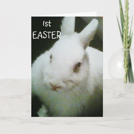 BONNE CARTE BUNNY "1st EASTER" (Devant)