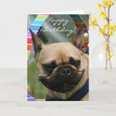 Bonne carte d'accueil pour Bulldog (Fleur jaune)