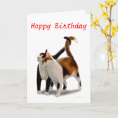 Bonne carte d'amis de chats d'anniversaire (Fleur jaune)