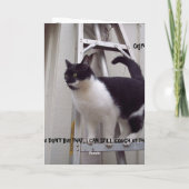 BONNE CARTE D'ANNIVERSAIRE (Dos)