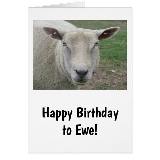 Bonne carte d'anniversaire à l'Ewe (Devant)
