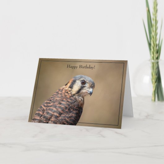 Bonne carte d'anniversaire American Kestrel (Devant)