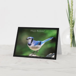 Bonne carte d'anniversaire Blue Jay