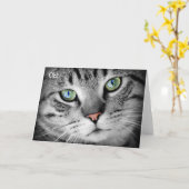 Bonne carte d'anniversaire : Chat dit "Oh !" (Fleur jaune)