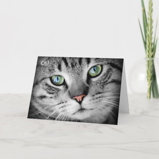 Bonne carte d'anniversaire : Chat dit "Oh !" (Devant)