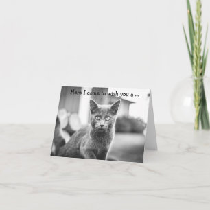 Bonne carte d'anniversaire : Chat gris