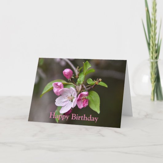 Bonne carte d'anniversaire Crabe rose Apple (Devant)
