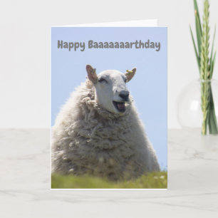 Bonne carte d'anniversaire des moutons