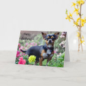 Bonne carte d'anniversaire du Chihuahua (Fleur jaune)