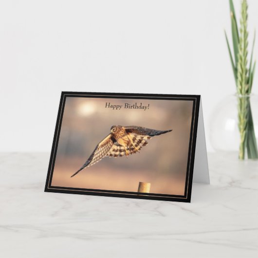 Bonne carte d'anniversaire Hawk de Harrier du Nord (Devant)