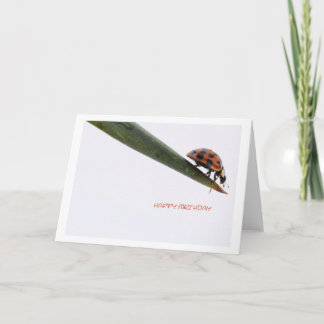 Bonne carte d'anniversaire Ladybird