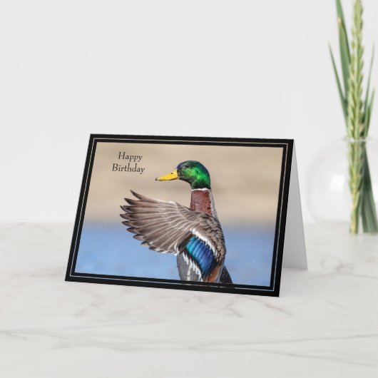Bonne carte d'anniversaire Mallard Duck (Devant)
