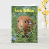 Bonne carte d'anniversaire mignon gingembre cobaye (Fleur jaune)