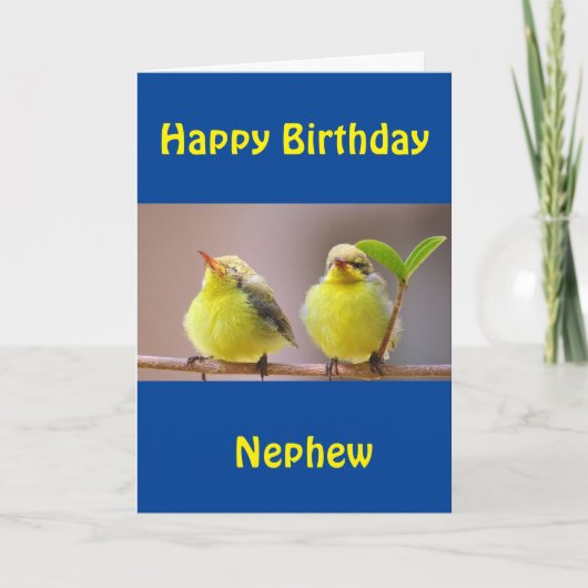 BONNE CARTE D'ANNIVERSAIRE "NEPHEW" (Devant)