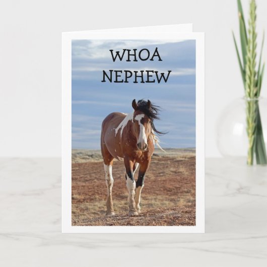 BONNE CARTE D'ANNIVERSAIRE "NEPHEW" (Devant)