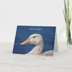 Bonne carte d'anniversaire Oie blanche