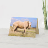 Bonne carte d'anniversaire Palomino Horse Card (Dos)