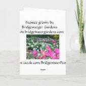 Bonne carte d'anniversaire Peonies roses / Fleurs (Dos)