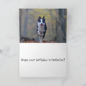Bonne carte d'anniversaire pour chien Collie Borde (Intérieur)