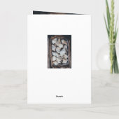 BONNE CARTE D'ANNIVERSAIRE "SEASHELLS" (Dos)