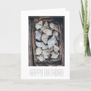 BONNE CARTE D'ANNIVERSAIRE "SEASHELLS"