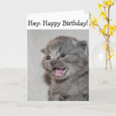 Bonne carte d'anniversaire : Surprised gris Kitten (Fleur jaune)