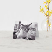 Bonne carte d'anniversaire (tardive) : Chat d'atte (Fleur jaune)