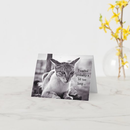 Bonne carte d'anniversaire (tardive) : Chat d'atte (Fleur jaune)
