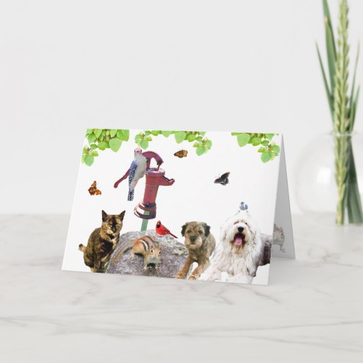 Bonne carte d'anniversaire : tout le gang. (Devant)