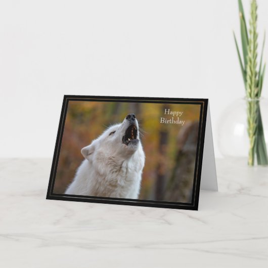 Bonne carte d'anniversaire Wolf (Devant)