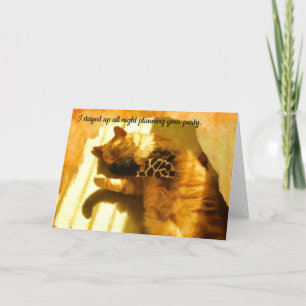 Bonne carte de chat humoristique d'anniversaire