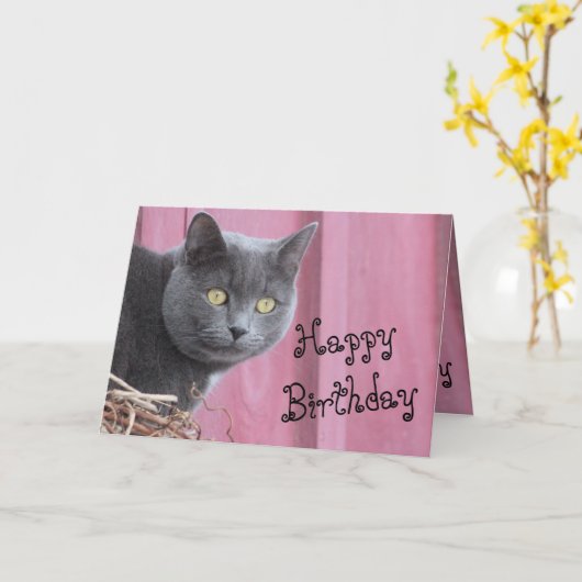 Bonne carte de chat Kitty Birthday (Fleur jaune)