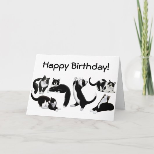 Bonne carte de chats Tuxedo Anniversaire (Devant)