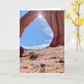 Bonne carte de chien de graduation | Lily le Carli (Fleur jaune)