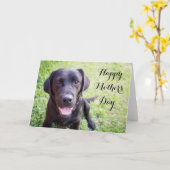Bonne carte de fête des mères avec labrador noir (Fleur jaune)